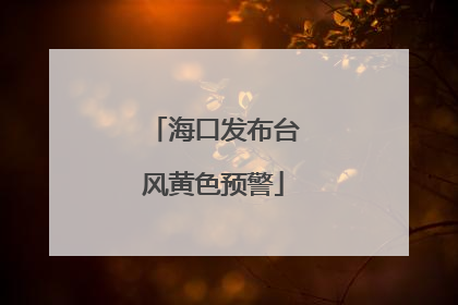 海口发布台风黄色预警