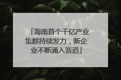 海南首个千亿产业集群持续发力，新企业不断涌入赛道