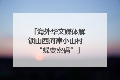 海外华文媒体解锁山西河津小山村“蝶变密码”