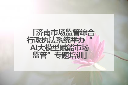 济南市场监管综合行政执法系统举办“AI大模型赋能市场监管”专题培训