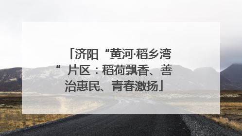 济阳“黄河·稻乡湾”片区：稻荷飘香、善治惠民、青春激扬
