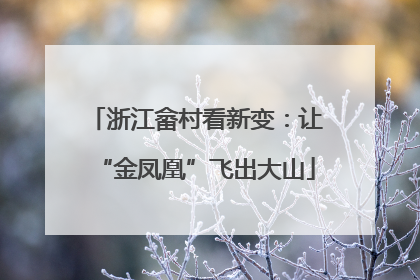 浙江畲村看新变：让“金凤凰”飞出大山