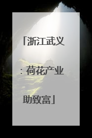 浙江武义：荷花产业助致富