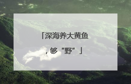 深海养大黄鱼，够“野”