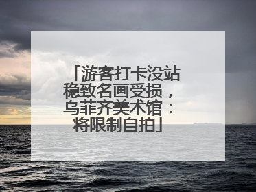 游客打卡没站稳致名画受损，乌菲齐美术馆：将限制自拍