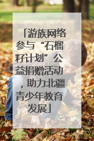 游族网络参与“石榴籽计划”公益捐赠活动，助力北疆青少年教育发展