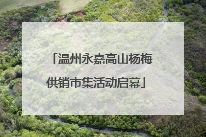 温州永嘉高山杨梅供销市集活动启幕