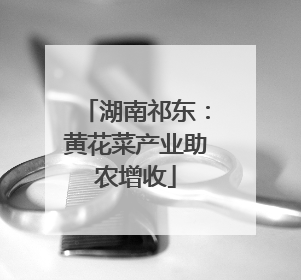 湖南祁东：黄花菜产业助农增收