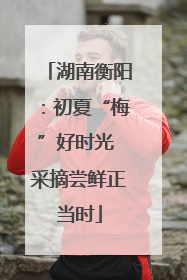 湖南衡阳：初夏“梅”好时光 采摘尝鲜正当时