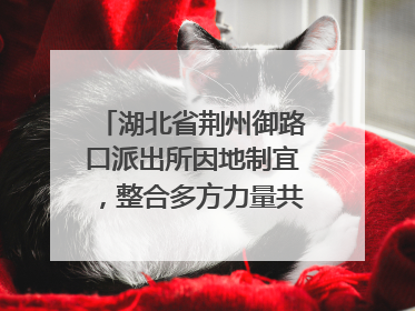 湖北省荆州御路口派出所因地制宜，整合多方力量共建平安校园