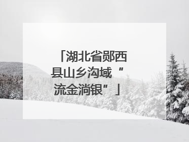 湖北省郧西县山乡沟域“流金淌银”