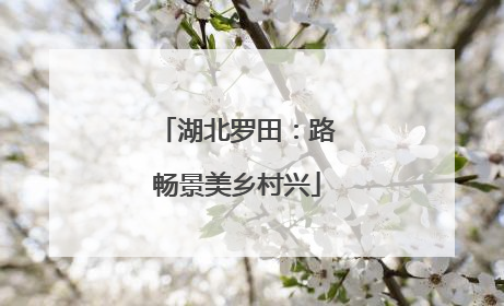 湖北罗田：路畅景美乡村兴