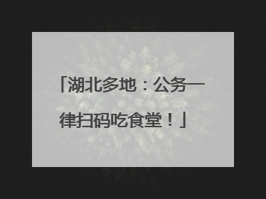 湖北多地：公务一律扫码吃食堂！