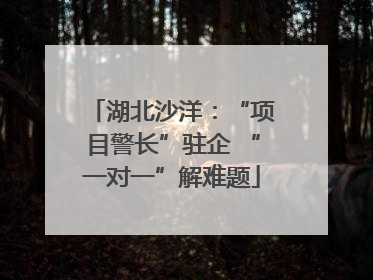 湖北沙洋：“项目警长”驻企 “一对一”解难题