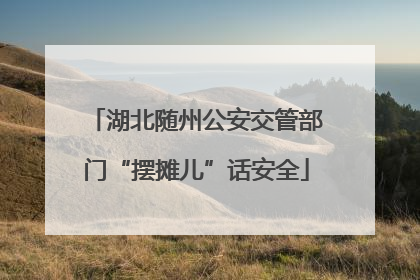 湖北随州公安交管部门“摆摊儿”话安全