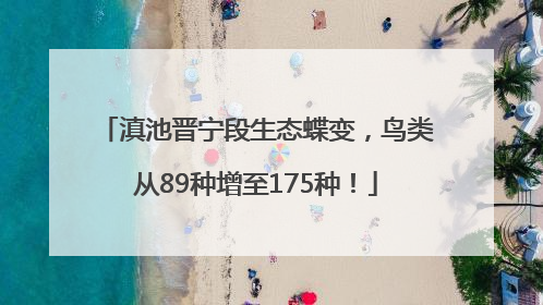 滇池晋宁段生态蝶变，鸟类从89种增至175种！