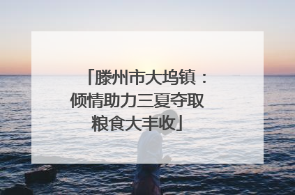 滕州市大坞镇：倾情助力三夏夺取粮食大丰收