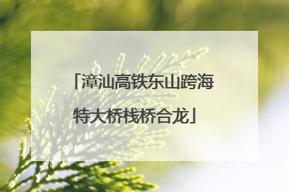 漳汕高铁东山跨海特大桥栈桥合龙