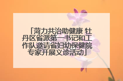 菏力共治助健康 牡丹区省派第一书记和工作队邀请省妇幼保健院专家开展义诊活动