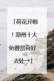 荷花开啦！郑州十大免费赏荷好去处→