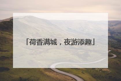 荷香满城，夜游添趣