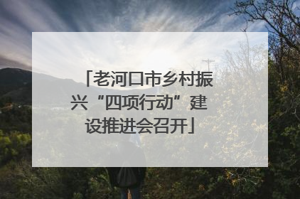 老河口市乡村振兴“四项行动”建设推进会召开