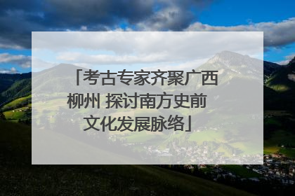 考古专家齐聚广西柳州 探讨南方史前文化发展脉络