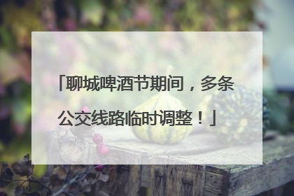 聊城啤酒节期间，多条公交线路临时调整！
