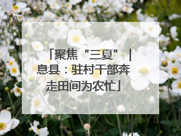 聚焦“三夏”｜息县：驻村干部奔走田间为农忙