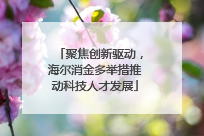 聚焦创新驱动，海尔消金多举措推动科技人才发展
