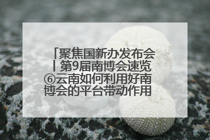 聚焦国新办发布会丨第9届南博会速览⑥云南如何利用好南博会的平台带动作用，深化与南亚国家的交流与合作？