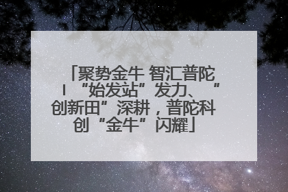聚势金牛 智汇普陀〡“始发站”发力、“创新田”深耕，普陀科创“金牛”闪耀
