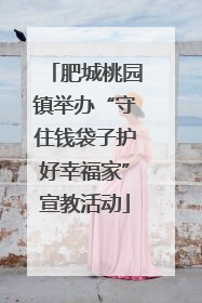 肥城桃园镇举办“守住钱袋子护好幸福家”宣教活动