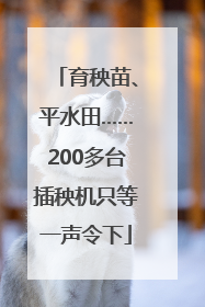 育秧苗、平水田……200多台插秧机只等一声令下
