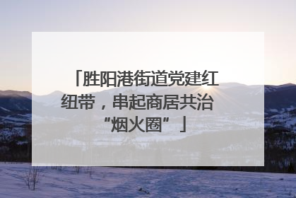 胜阳港街道党建红纽带，串起商居共治 “烟火圈”