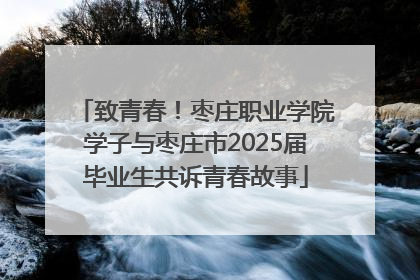 致青春！枣庄职业学院学子与枣庄市2025届毕业生共诉青春故事