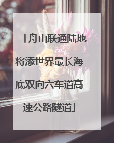舟山联通陆地将添世界最长海底双向六车道高速公路隧道
