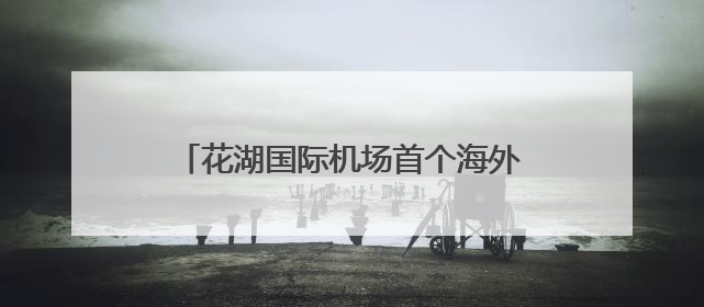 花湖国际机场首个海外仓在意大利揭牌投运