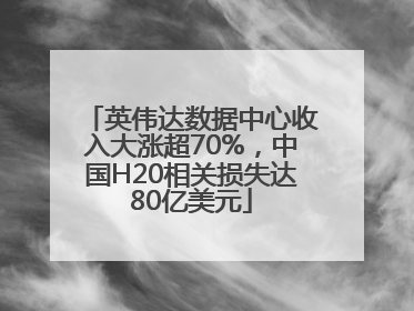 英伟达数据中心收入大涨超70%，中国H20相关损失达80亿美元