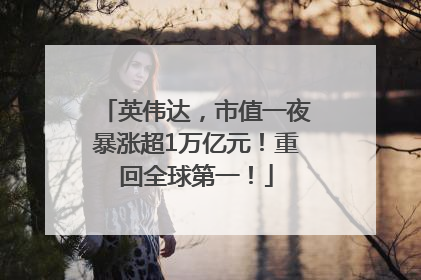 英伟达，市值一夜暴涨超1万亿元！重回全球第一！
