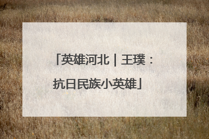 英雄河北｜王璞：抗日民族小英雄