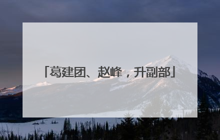 葛建团、赵峰，升副部