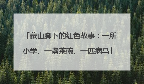 蒙山脚下的红色故事：一所小学、一盏茶碗、一匹病马