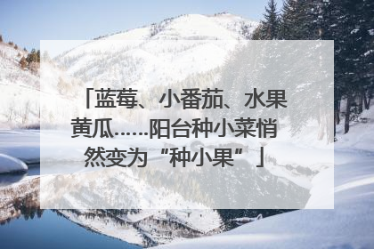 蓝莓、小番茄、水果黄瓜……阳台种小菜悄然变为“种小果”