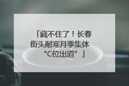 藏不住了！长春街头耐寒月季集体“C位出道”