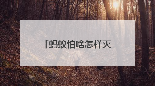 蚂蚁怕啥怎样灭蚂蚁不留痕？蚂蚁用什么药能彻底消灭？答案在这！