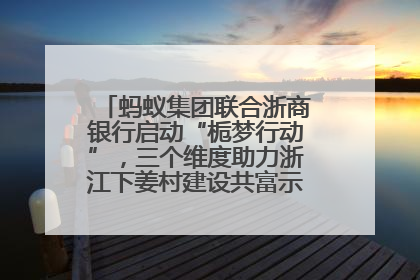 蚂蚁集团联合浙商银行启动“栀梦行动”，三个维度助力浙江下姜村建设共富示范区示范点