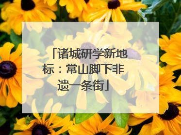 诸城研学新地标：常山脚下非遗一条街