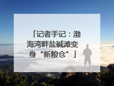记者手记：渤海湾畔盐碱滩变身“新粮仓”