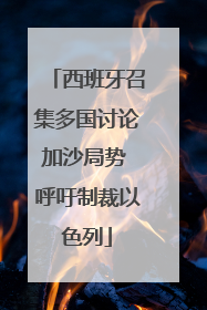 西班牙召集多国讨论加沙局势 呼吁制裁以色列